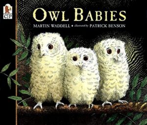 Owl Babies cover